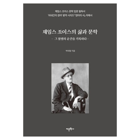 제임스 조이스의 삶과 문학 그 불멸의 순간을 기록하다, 어문학사, 박대철