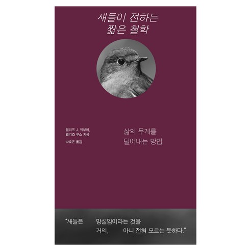 새들이 전하는 짧은 철학:삶의 무게를 덜어내는 방법, 페이퍼북