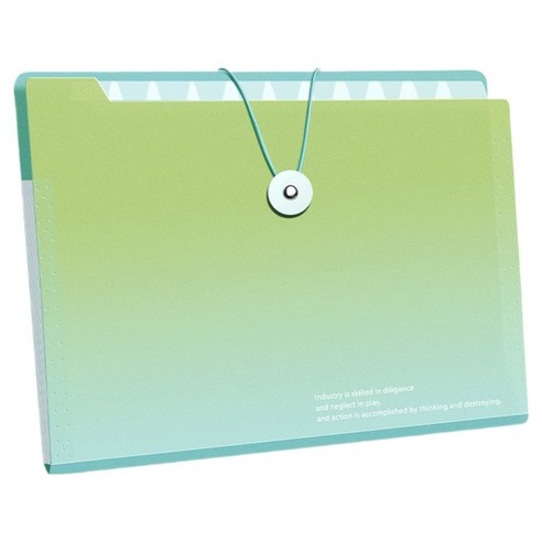 델리리움 예쁜 색감 대용량 아코디언 서류 A4 파일 케이스 5단 32 x 25 cm, 1개, 그라데이션 그린