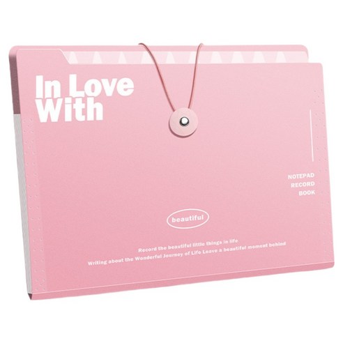 델리리움 예쁜 색감 대용량 아코디언 서류 A4 파일 케이스 5단 32 x 25 cm, 1개, 핑크