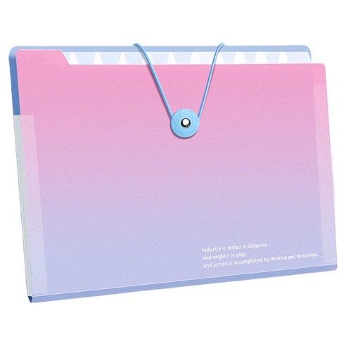 델리리움 예쁜 색감 대용량 아코디언 서류 A4 파일 케이스 8단 32 x 25 cm, 그라데이션 핑크, 1개