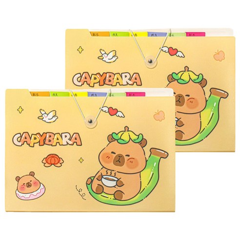 델리리움 예쁜 색감 대용량 아코디언 서류 A4 파일 케이스 12단 32 x 25 cm, 카피바라2, 2개