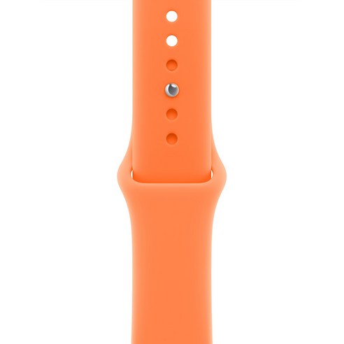 Apple 정품 2026 애플워치 스포츠 밴드, 클레멘타인, 1개, 40mm, S/M