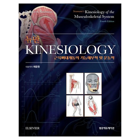 뉴만 Kinesiology 4판, 양장