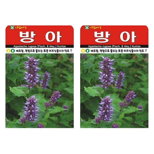 아람종묘 방아 씨앗, 2개