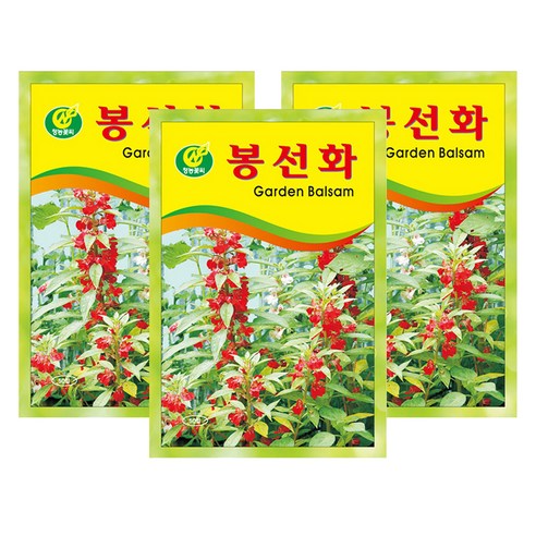 청농종묘 봉선화 씨앗 50p, 3개