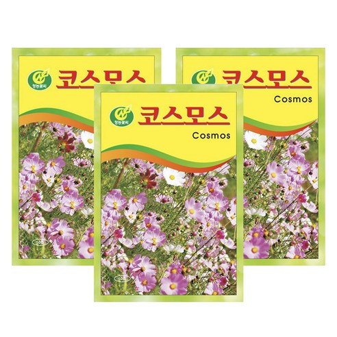 청농종묘 코스모스 씨앗 50p, 3개