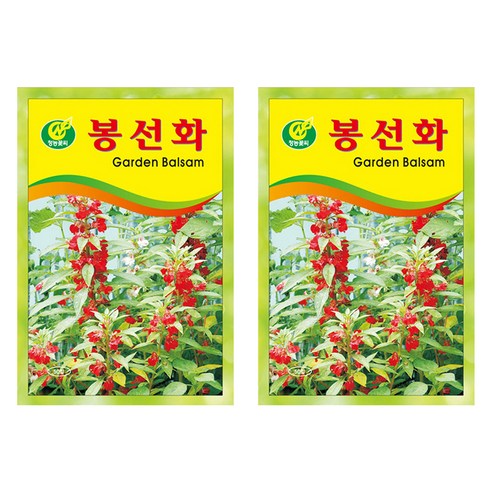 청농종묘 봉선화 씨앗 50p, 2개