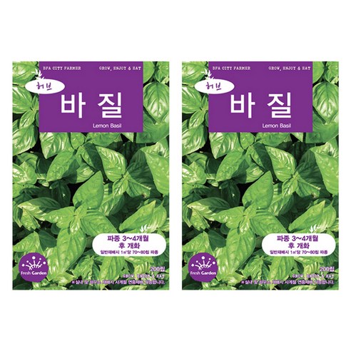 청농종묘 레몬바질 씨앗 200p, 2개