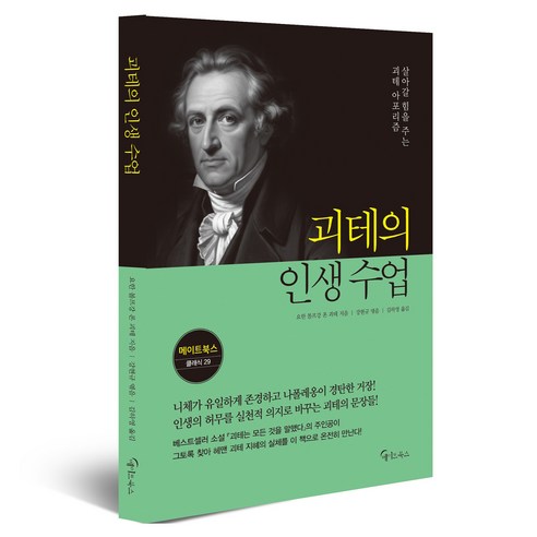 괴테의 인생 수업, 반양장