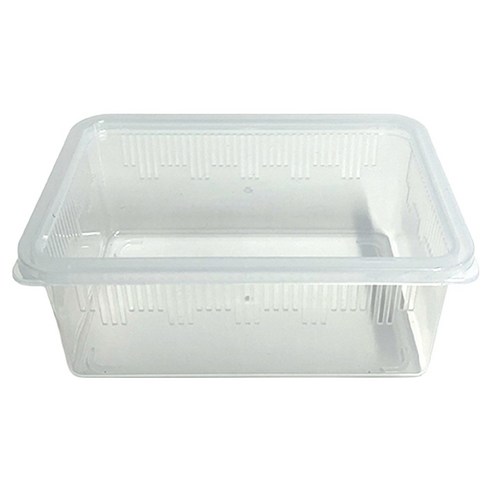 두렙 파충류 캐슬 사육장 소형 PP 일반뚜껑, 투명+투명PP뚜껑 세트, 투명, 1개