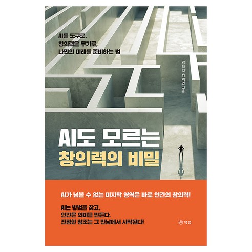 AI도 모르는 창의력의 비밀, 페이퍼북