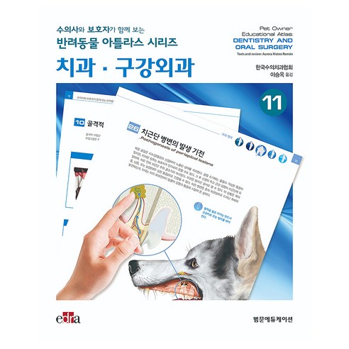 치과 · 구강외과 : 수의사와 보호자가 함께 보는 반려동물 아틀라스 시리즈 11, 양장