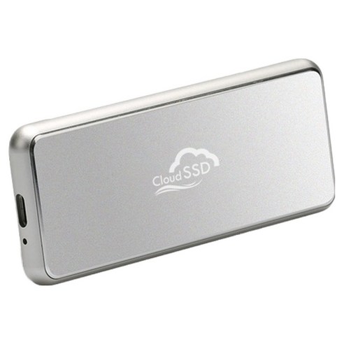 한창코퍼레이션 Portable Pro 외장 SSD, 실버, 250GB
