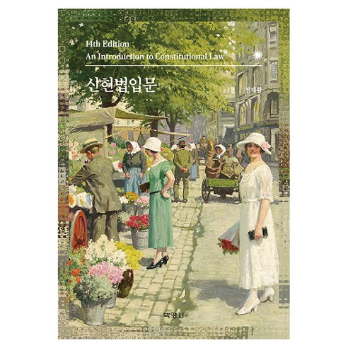 신헌법입문 14판, 양장