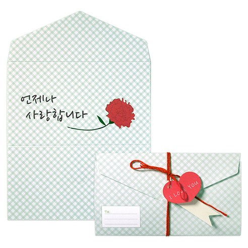 투영디자인 메시지 포인트 편지카드 5p 세트, 카네이션사랑, 1세트