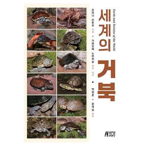 세계의 거북, 반양장