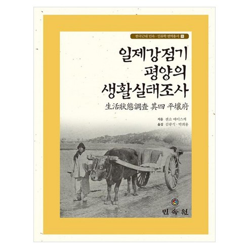 일제강점기 평양의 생활실태조사, 양장