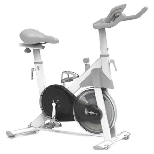 이고진 스마트 마그네틱 스피닝 바이크, 화이트, 스마트 250s