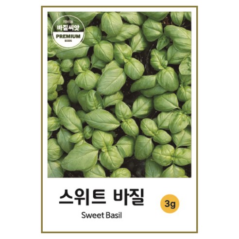 허브 스위트 바질 씨앗 3g 2000p, 1개