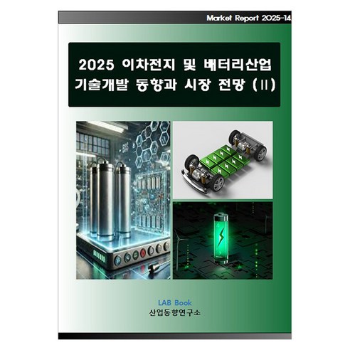 2025 이차전지 및 배터리산업 기술개발 동향과 시장전망 2, 반양장