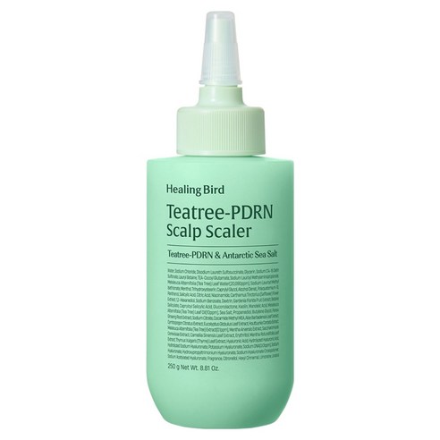 힐링버드 티트리 피디알엔 탈모증상완화 기능성 두피 스케일러, 250g, 1개