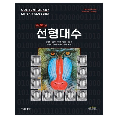 안톤의 선형대수, 페이퍼북