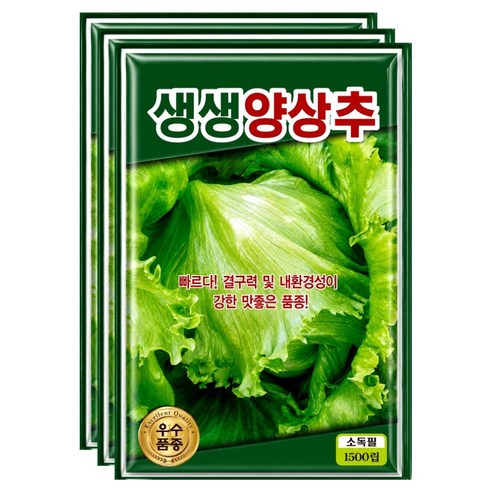 씨앗팜 생생 양상추 씨앗 1500p