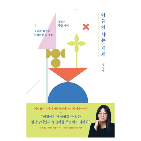 아들이 사는 세계 큰글자도서, 푸른숲, 류승연