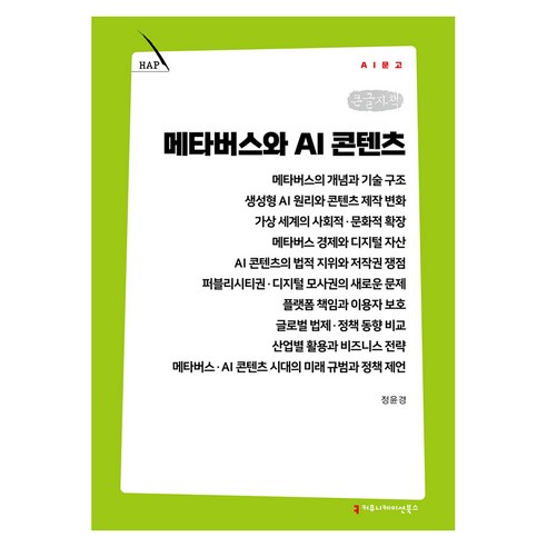 메타버스와 AI 콘텐츠 큰글자책, 커뮤니케이션북스, 정윤경