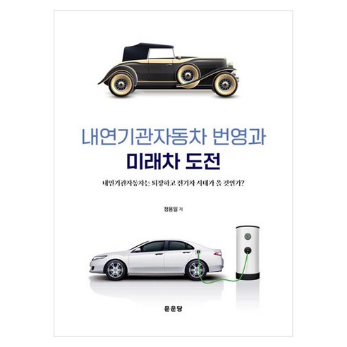 내연기관자동차 번영과 미래차 도전, 페이퍼북