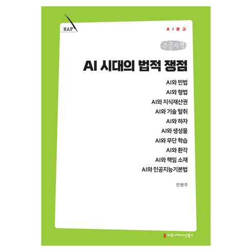 AI 시대의 법적 쟁점 큰글자책, 커뮤니케이션북스, 전병주