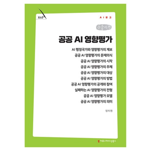 공공 AI 영향평가 큰글자책, 커뮤니케이션북스, 양지원