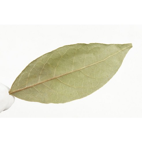 자연닮음 월계수잎 300g, 1개 이미지 4