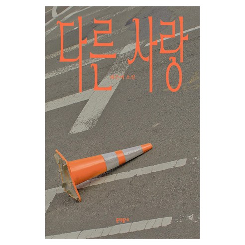 다른 사랑:최은미 소설, 문학동네, 최은미