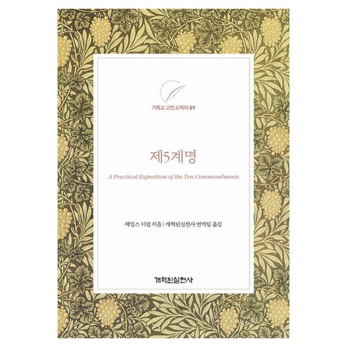 제5계명, 개혁된실천사, 제임스 더럼