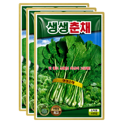 씨앗팜 월동 춘채씨앗 6000p