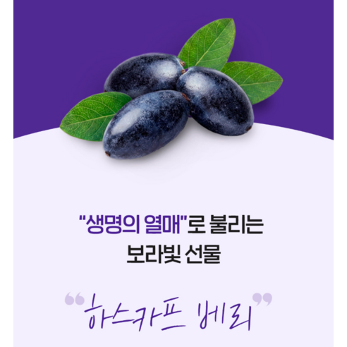 닥터린 NFC 하스카프베리즙 100g, 3개 실사용 후기 | 효과 있을까? - 상품 이미지 4