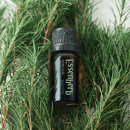 에센허브 티트리 100 오일 후기 분석 - 손등 테스트 컷