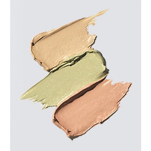 더샘 커버 퍼펙션 트리플 팟 컨실러 13.5g 이미지 4