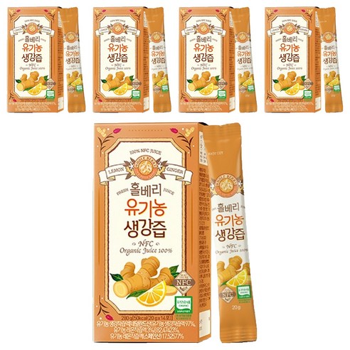 홀베리 유기농 생강즙, 280g, 5개 280g, 5개