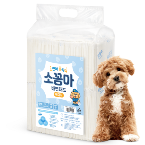 소꼼마 소변아 꼼짝마 냄새잠금 강아지 배변패드 베이직 무향 솔직 후기 | 실사용자 리뷰 분석 썸네일