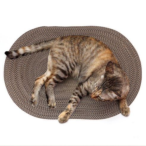 코멧 펫 고양이 쇼파 스크래쳐 솔직 후기 | 실사용자 리뷰 분석 - 상품 이미지 4