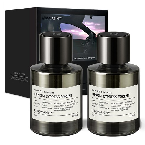 GIOVANNY 차량용 방향제 160ml 2p, 편백나무 숲, 1세트