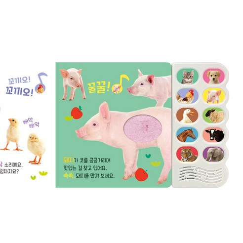 멍멍 강아지와 친구들:감각 자극 사운드북 이미지 2