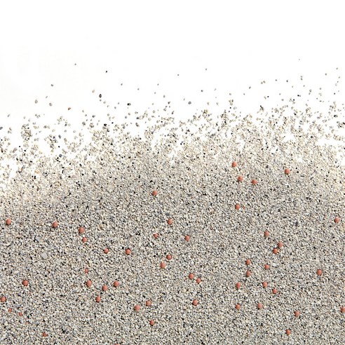 로마샌드 응고형 보스 고양이 모래 이미지 4