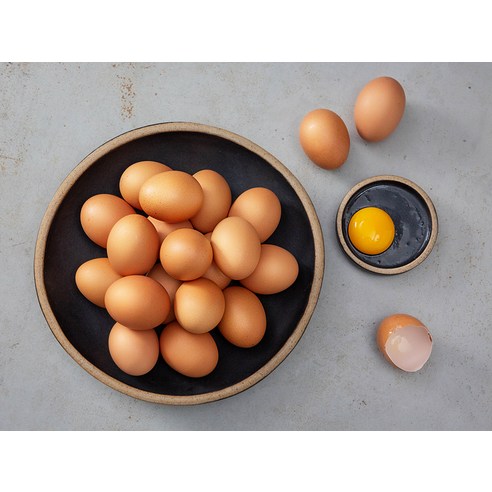 무항생제 신선한 대란으로 안심하고 즐기는 건강한 식탁