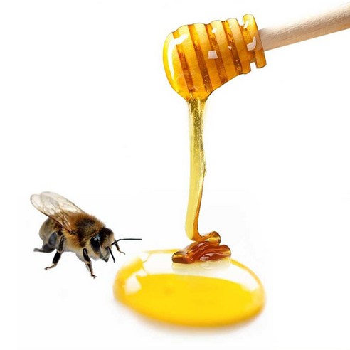 고려인삼 사양 벌꿀 600g, 6개 솔직 후기 | 실사용자 리뷰 분석 - 상품 이미지 3