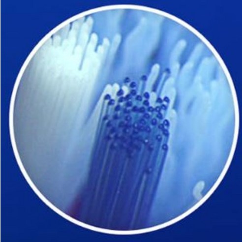 오랄비 바이탈리티 키즈 전동칫솔 솔직 후기 | 실사용자 리뷰 분석 - 상품 이미지 4