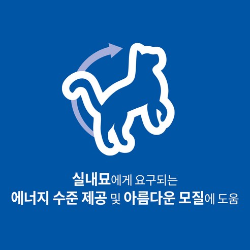 힐스사이언스다이어트 어덜트 고양이 기능성 사료 후기 분석 - 영양 성분표 상세 정보